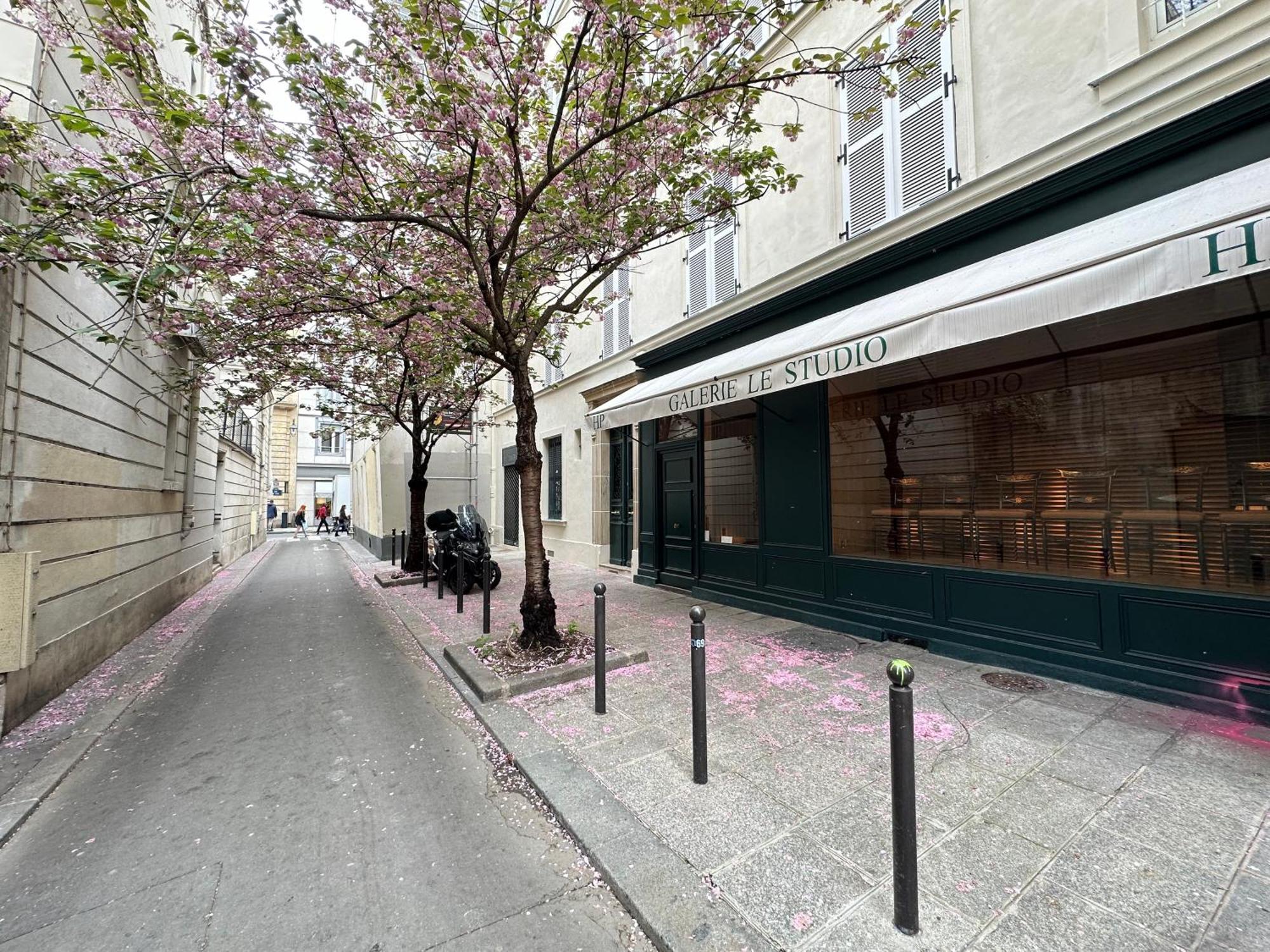 Spacious Studio In Saint-Germain-Des-Pres Lejlighed Paris Eksteriør billede